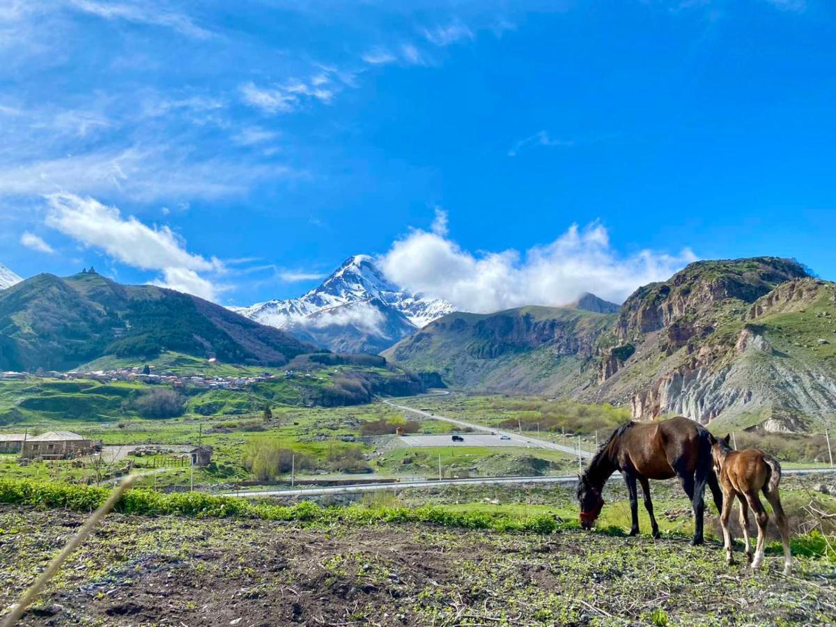 Kazbegi Inn Екстер'єр фото